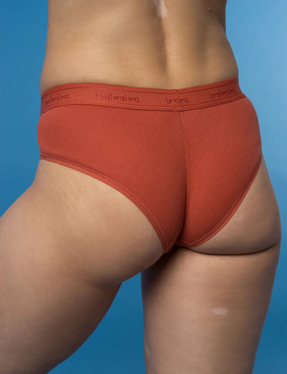 Majtki brief 403K (3 szt)