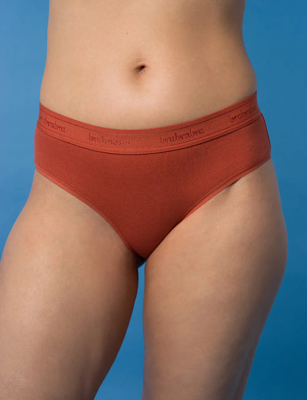 Majtki brief 403K (3 szt)